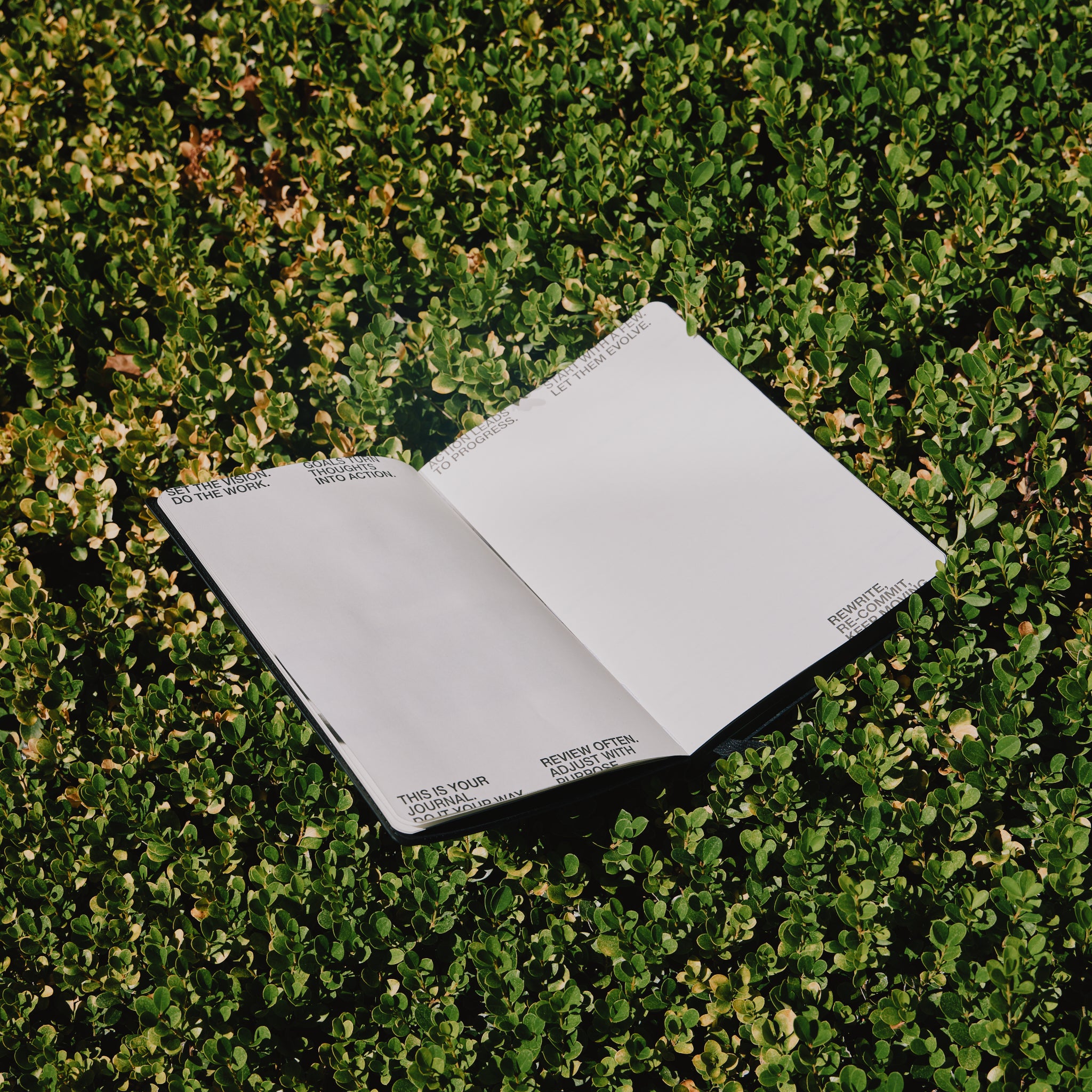 Open journal on a grassy surface